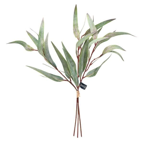 3営業日で発送 アスカ Asca ユーカリバンチ 1束3本 グリーンパープル A-44037053P 入数 12