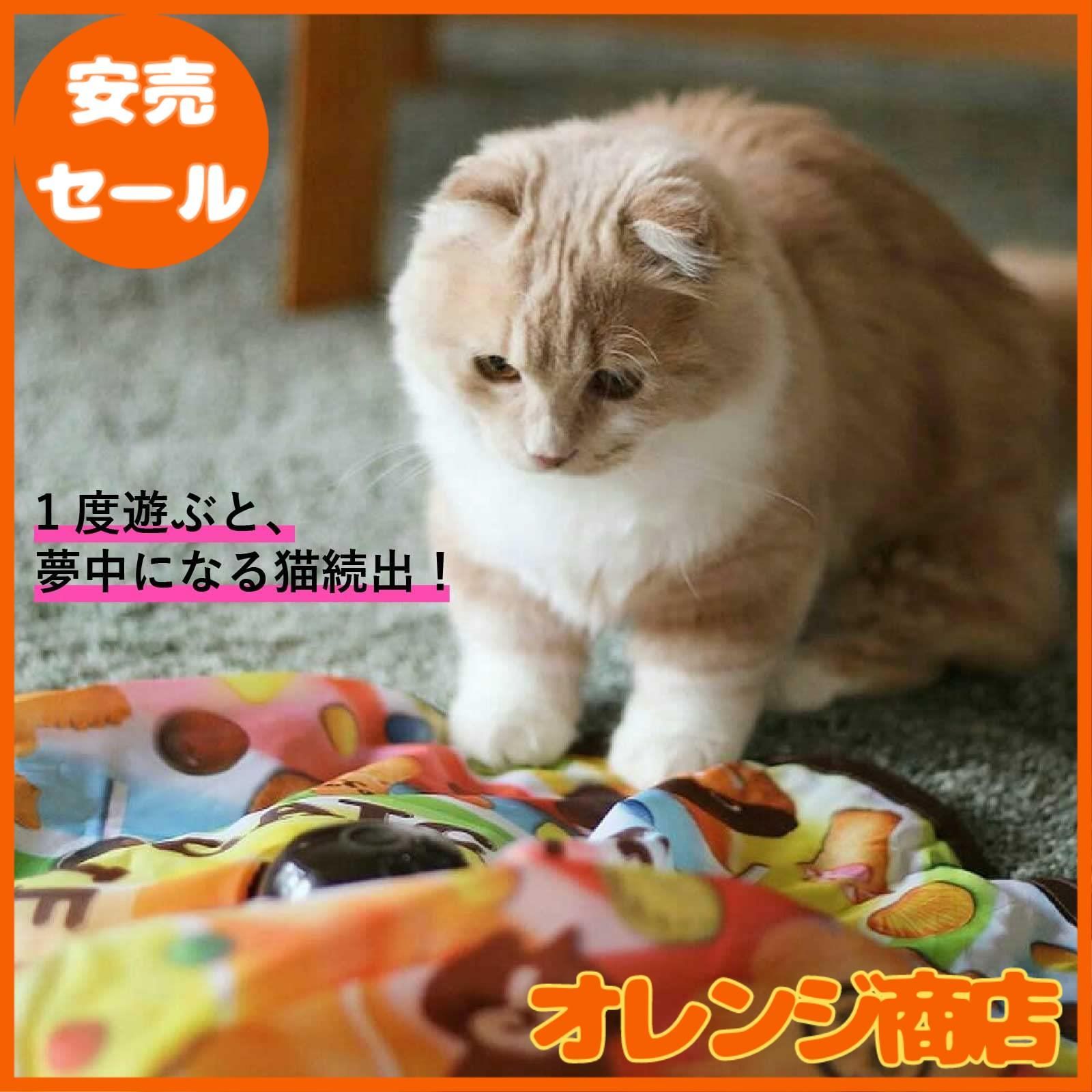 猫壱（necoichi） キャッチ・ミー・イフ・ユー・キャン2 猫用電動おもちゃ