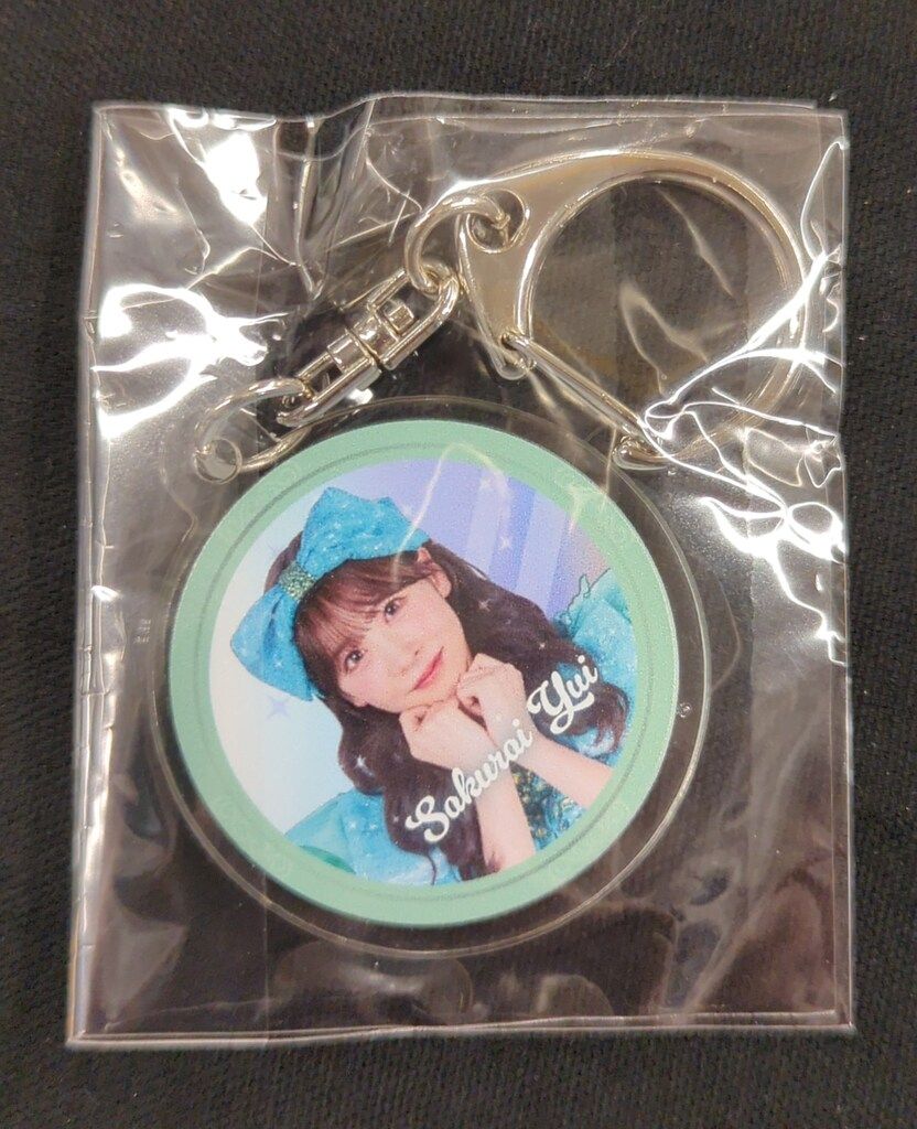 FRUITS ZIPPER ラッフルくじ かがみ D賞 アクリルミニチャーム FRUITS