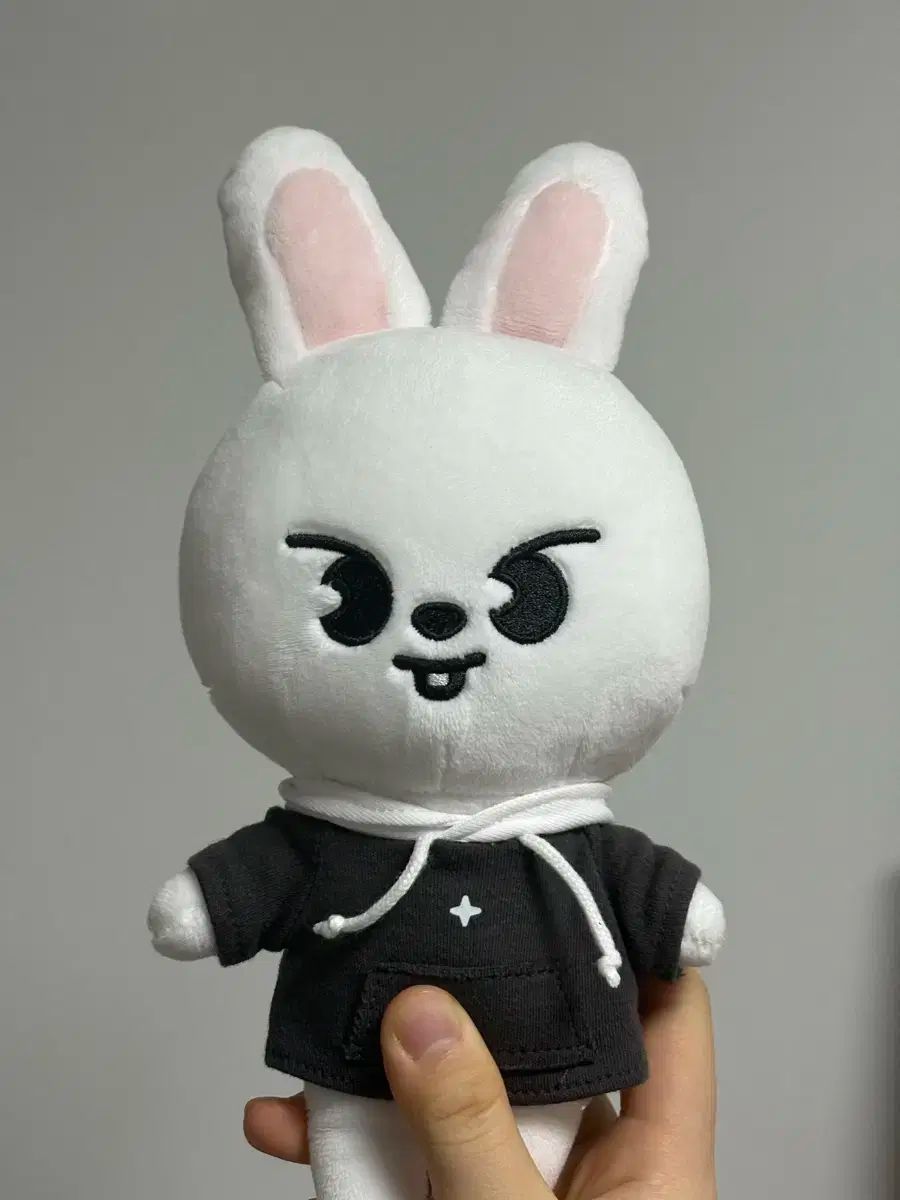 STRAY KIDS × SKZOO リービット リービット テディベア SKZOO SKZ5