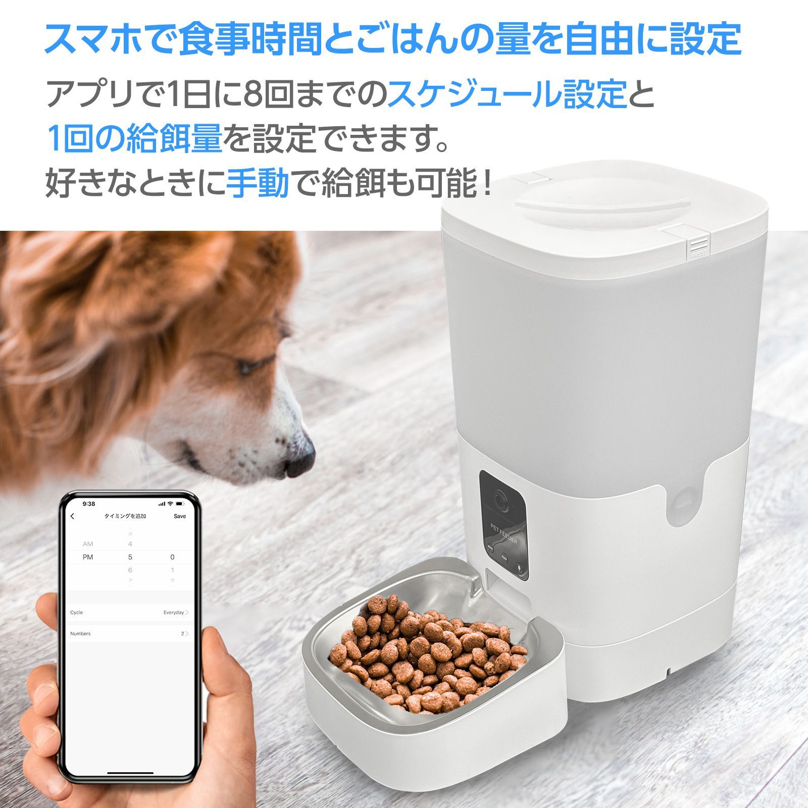 ネコ