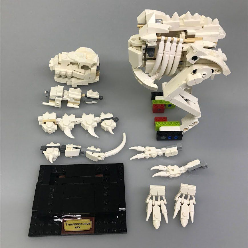 正規品 LEGO レゴ IDEAS 21320 恐竜の化石 外箱・組み立て説明書付き