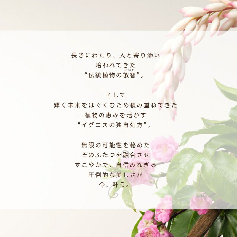 イグニス モイスチュアライジング エフフォーリア エッセンス 美容液 40ml 伝統植物エキス配合 密着感 角層までじっくり浸透 積 的にサポート エイジングケア ハリ うるおい みずみずしい 乾燥防止 強力な水分補給 ハーバルフレッシュの香り IGNIS