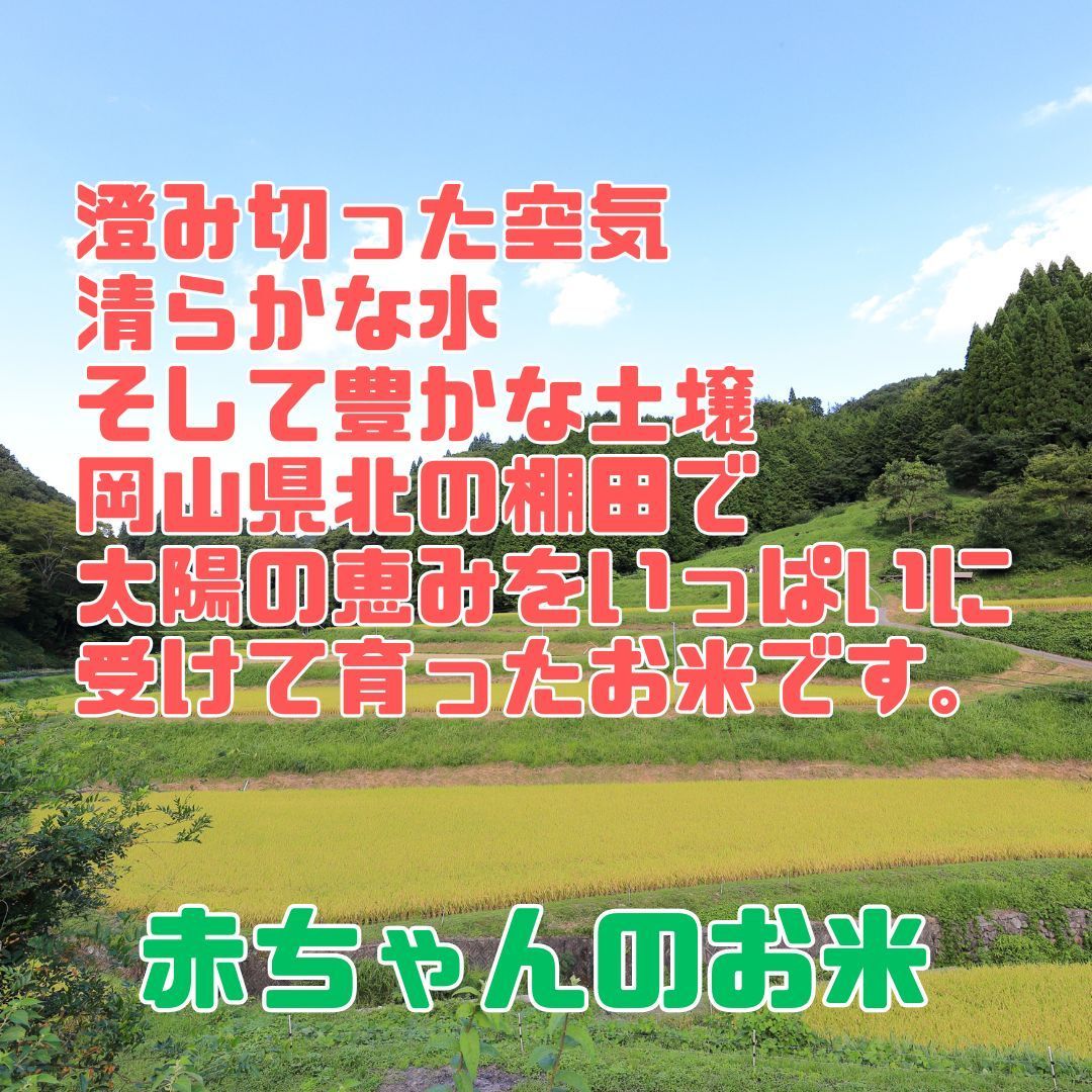 希少な岡山県産 農薬不使用 自然栽培・棚田米 若採り米 令和6