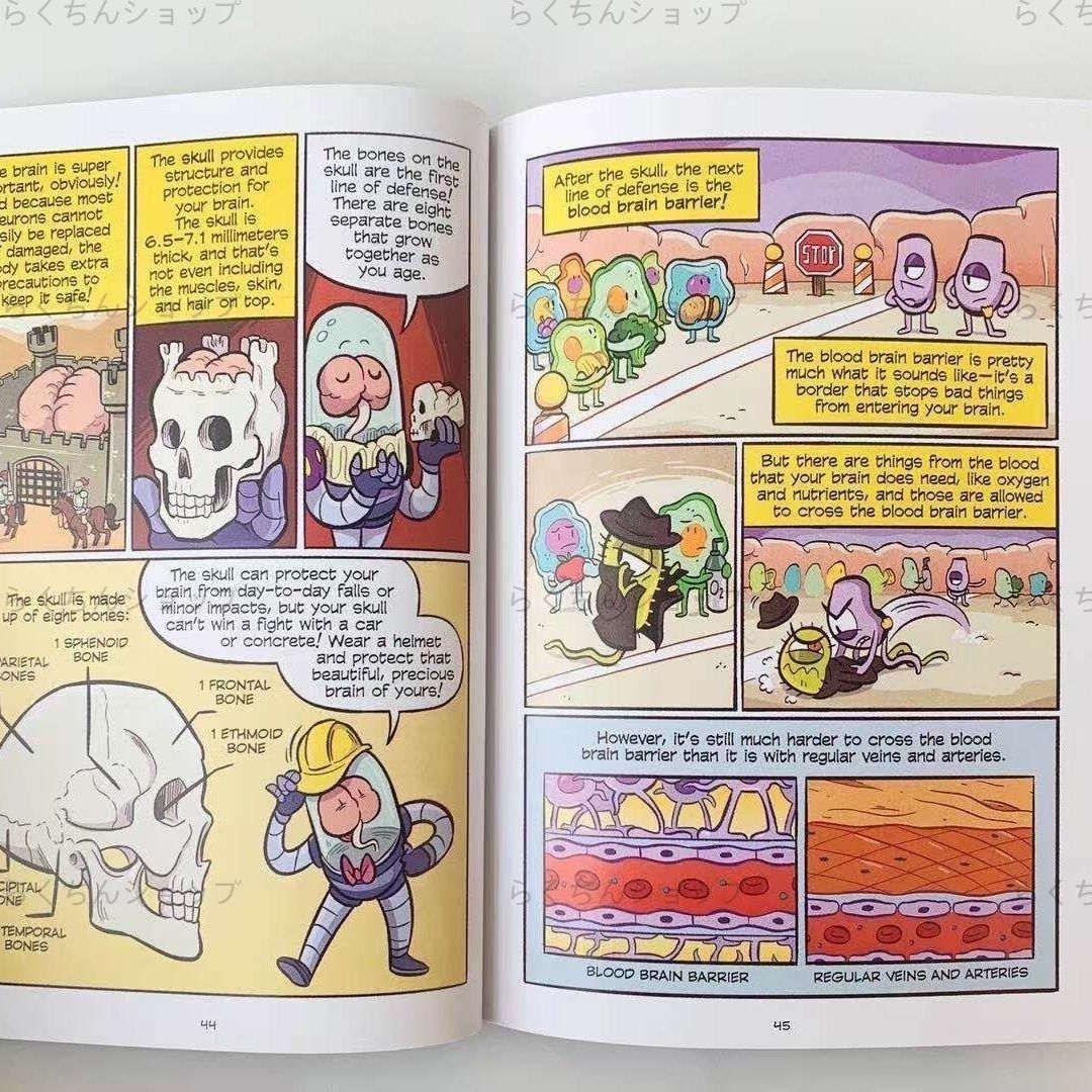 29冊セット Sciences comics フルカラー 洋書 絵本 #602 最新版 新品 29冊セット】Sciences comics フルカラー 洋書 絵本