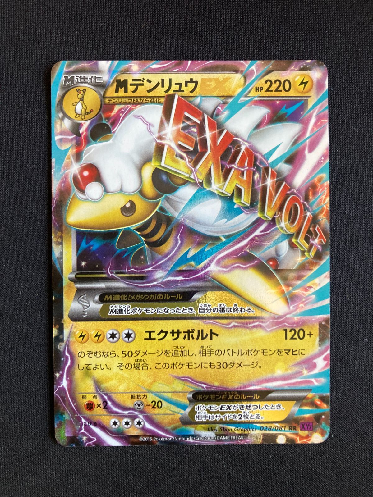 デンリュウ　Mデンリュウ　psa10 連番 PSA10】【連番】 ポケモンカード MデンリュウEX 鑑定品