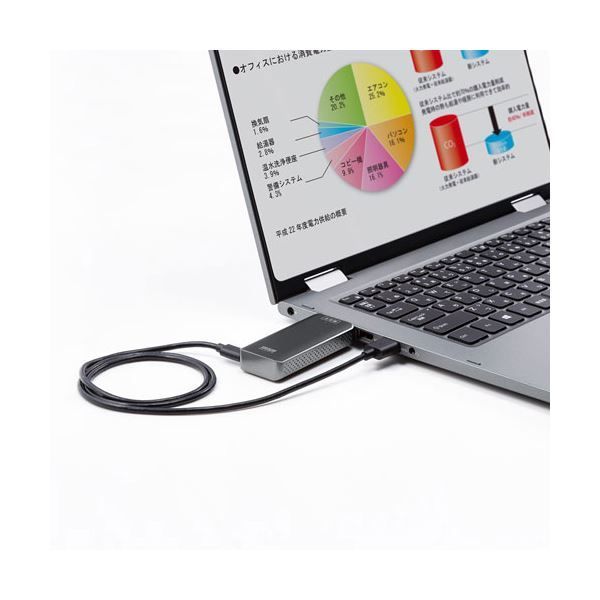 サンワサプライ ワイヤレスHDMIエクステンダー VGA-EXWHD10 CHRISTIANNAURATH_COM_BR