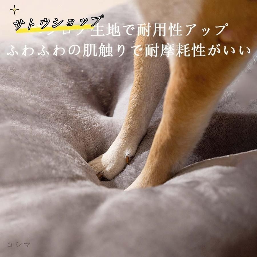 冬