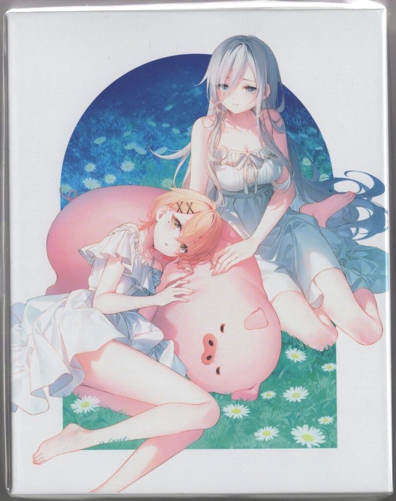 アニメBlu ray 収納BOX付 豚のレバーは加熱しろ 完全生産 版 全6巻 セット ブルーレイ 再生機 アニメ 