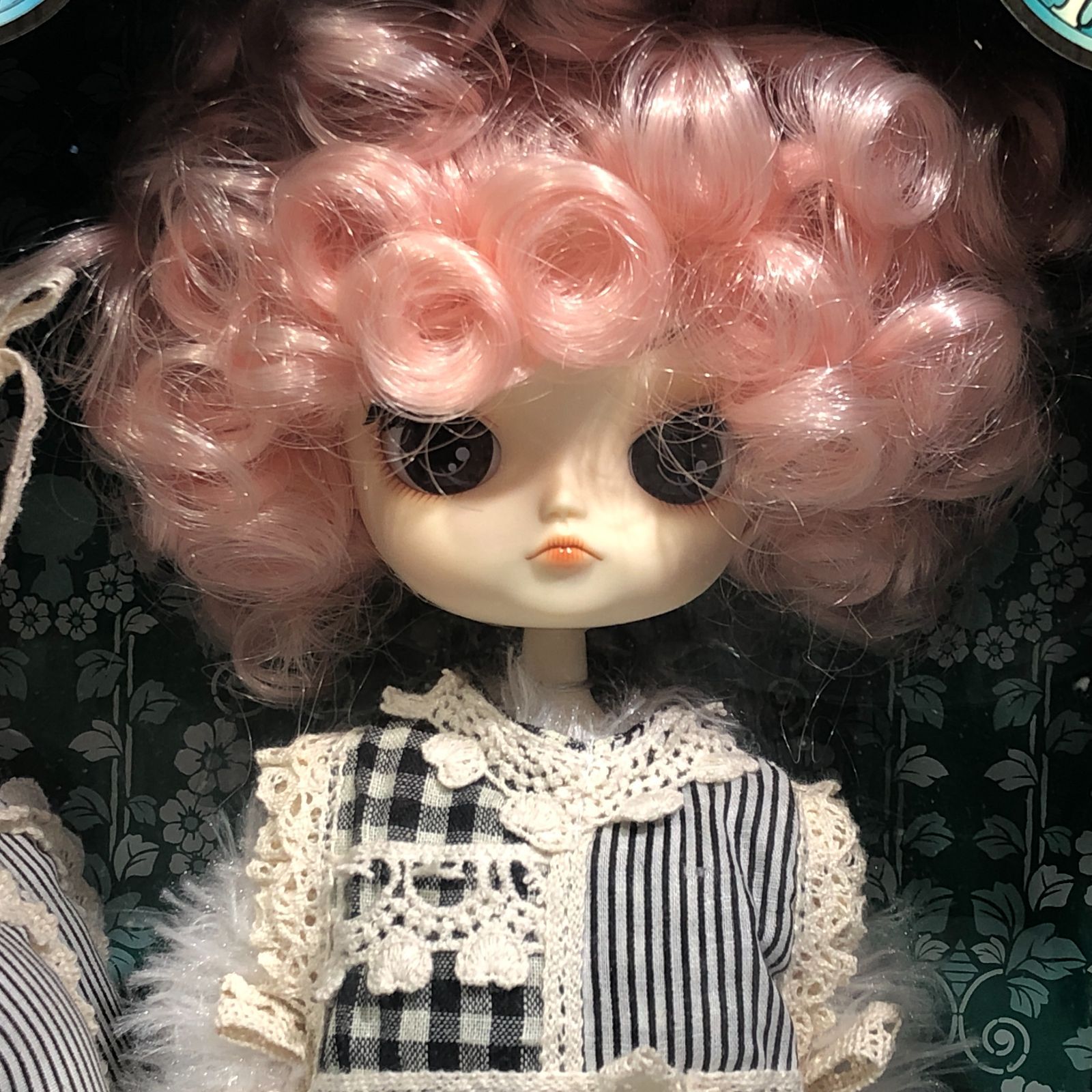 城東29-186 DAL Romantic White rabbit ダル ロマンティック ホワイトラビット