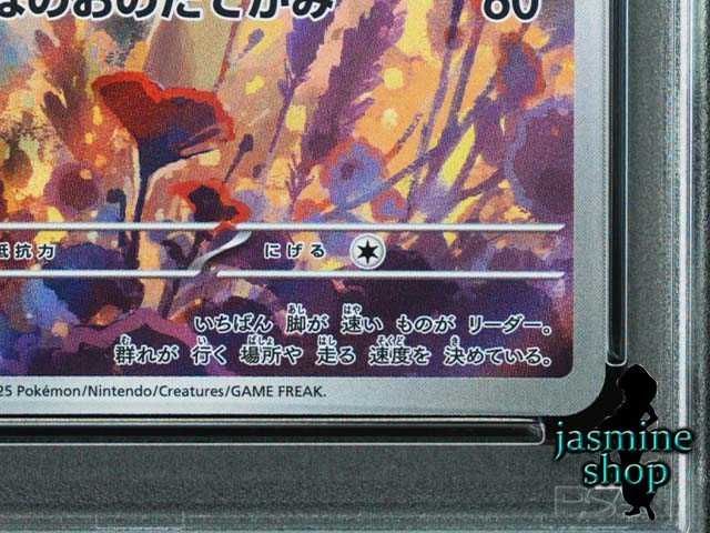 PSA9】ギャロップ AR SV9a 069/063 熱風のアリーナ PSAケース
