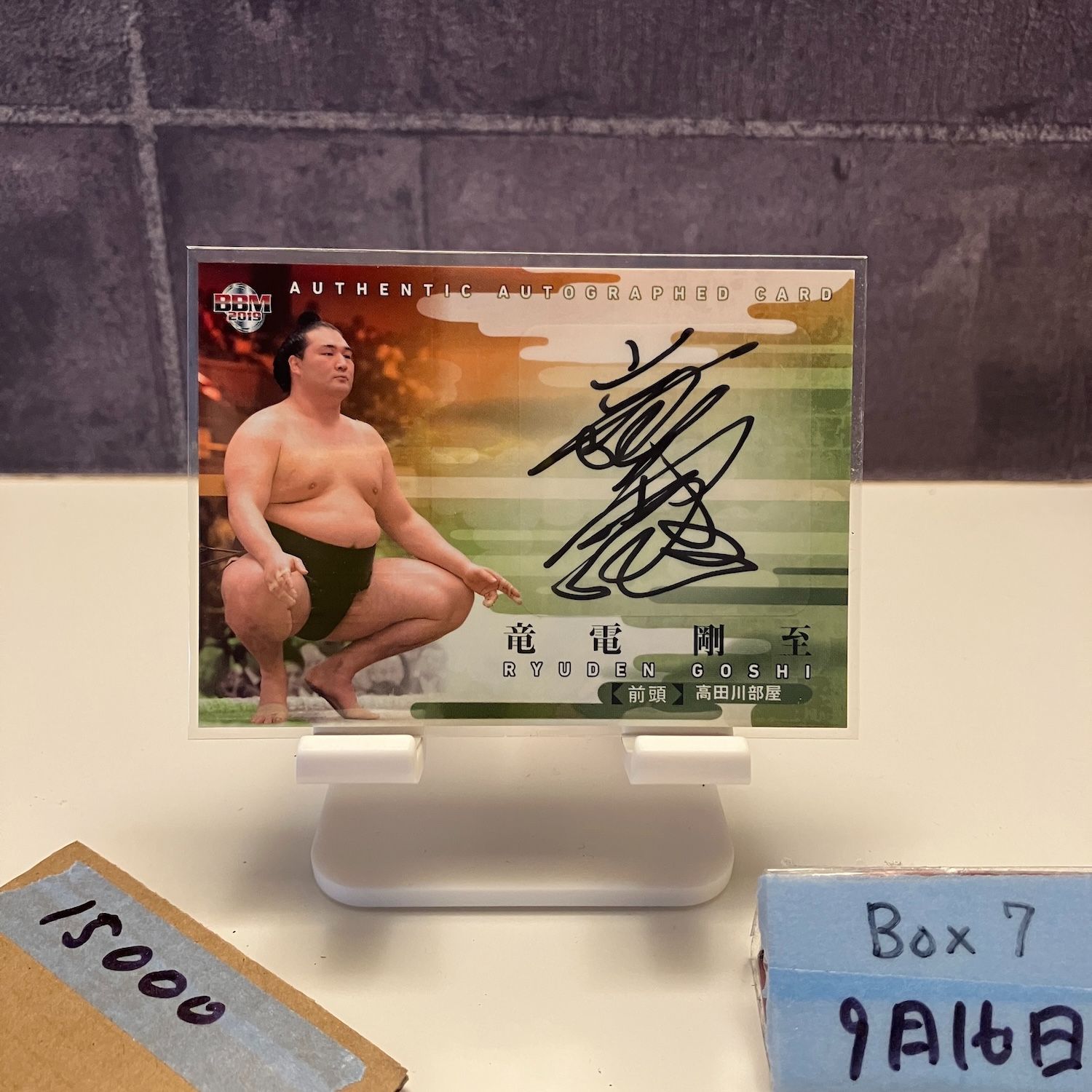 2019 BBM 竜電剛至 09|60 直筆サイン 高田川部屋 カード