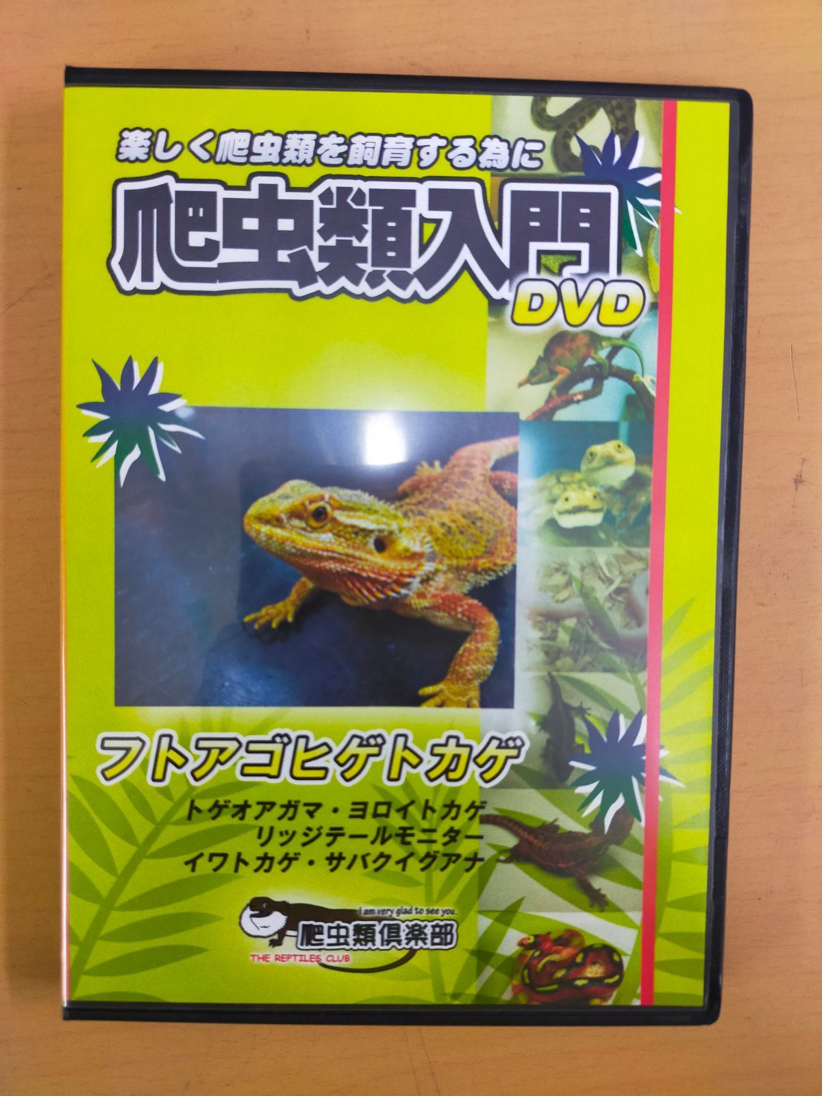 リッジテールモニター]爬虫類ステッカー 明るく