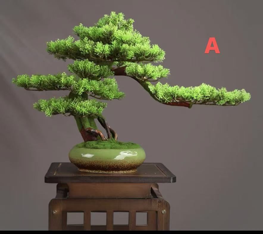 小さな盆栽 屋内シミュレーションウェルカムパインリビングルームの