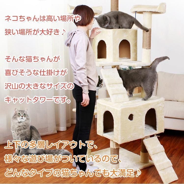 高さ186cm ネコ