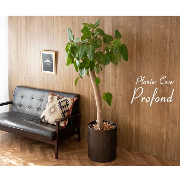 Konect fang black S Konect _ M-fang pt.2 | Geek Field