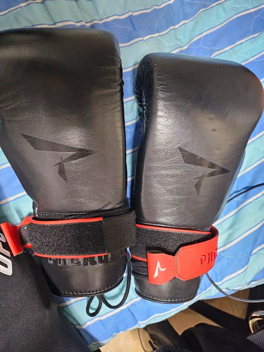 Fairtex フェアテックス バック ムエタイ キックボクシング