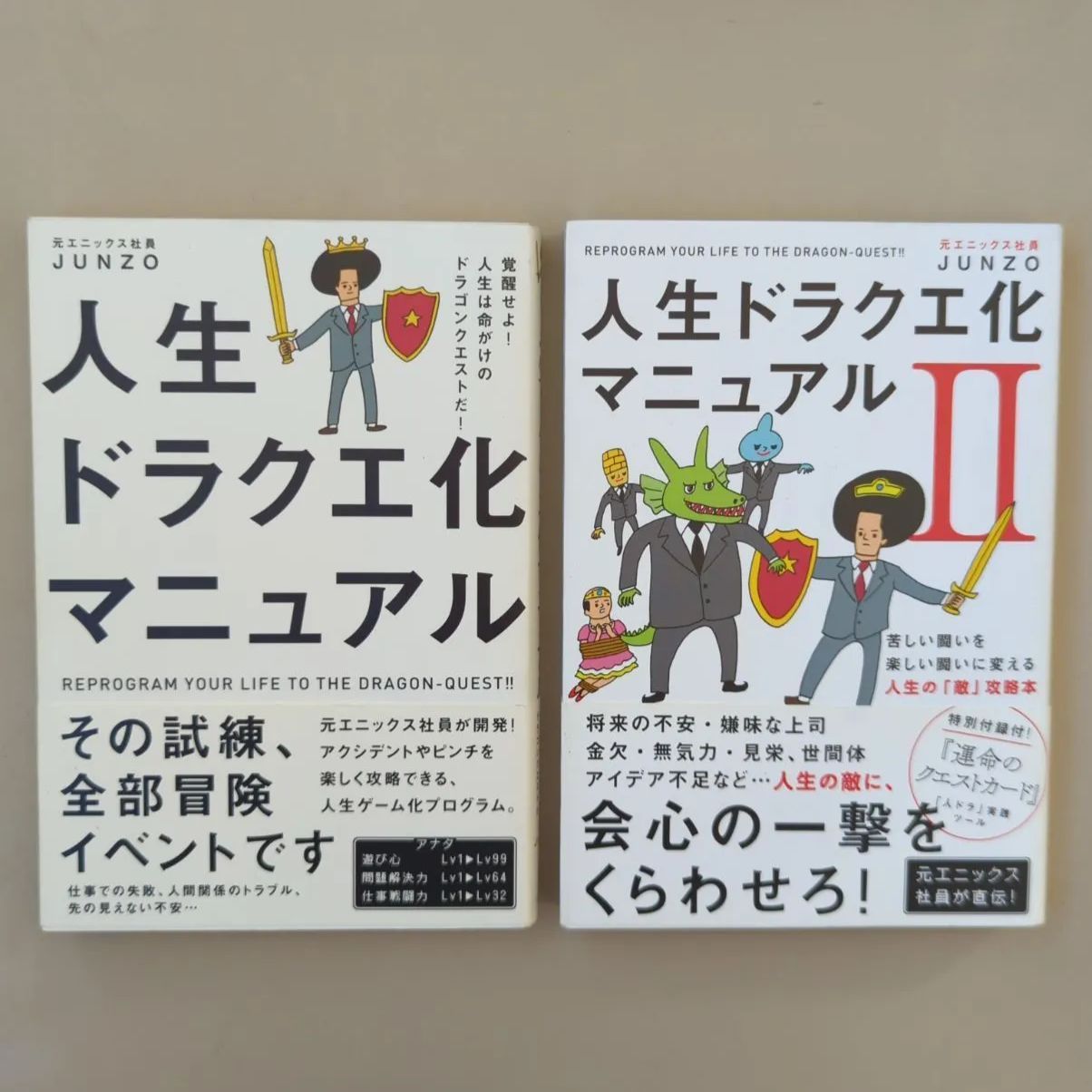 A228「人生ドラクエ化マニュアル 」2冊セット - メルカリ