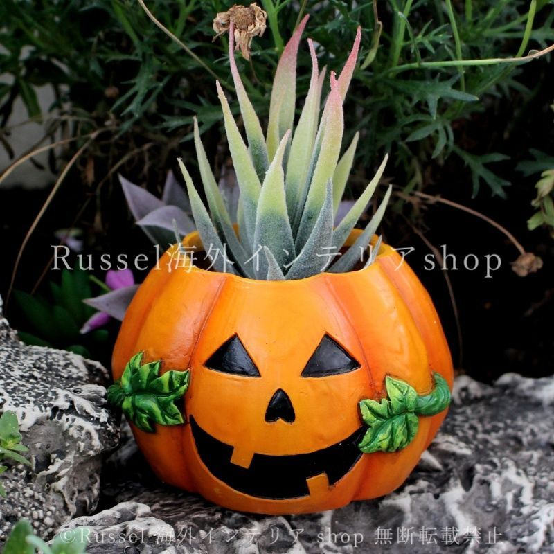 植木鉢 かぼちゃ 樹脂 カボチャ ハロウィン オバケ ゴースト かわいい
