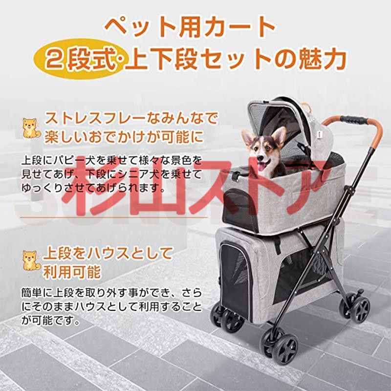 小型犬