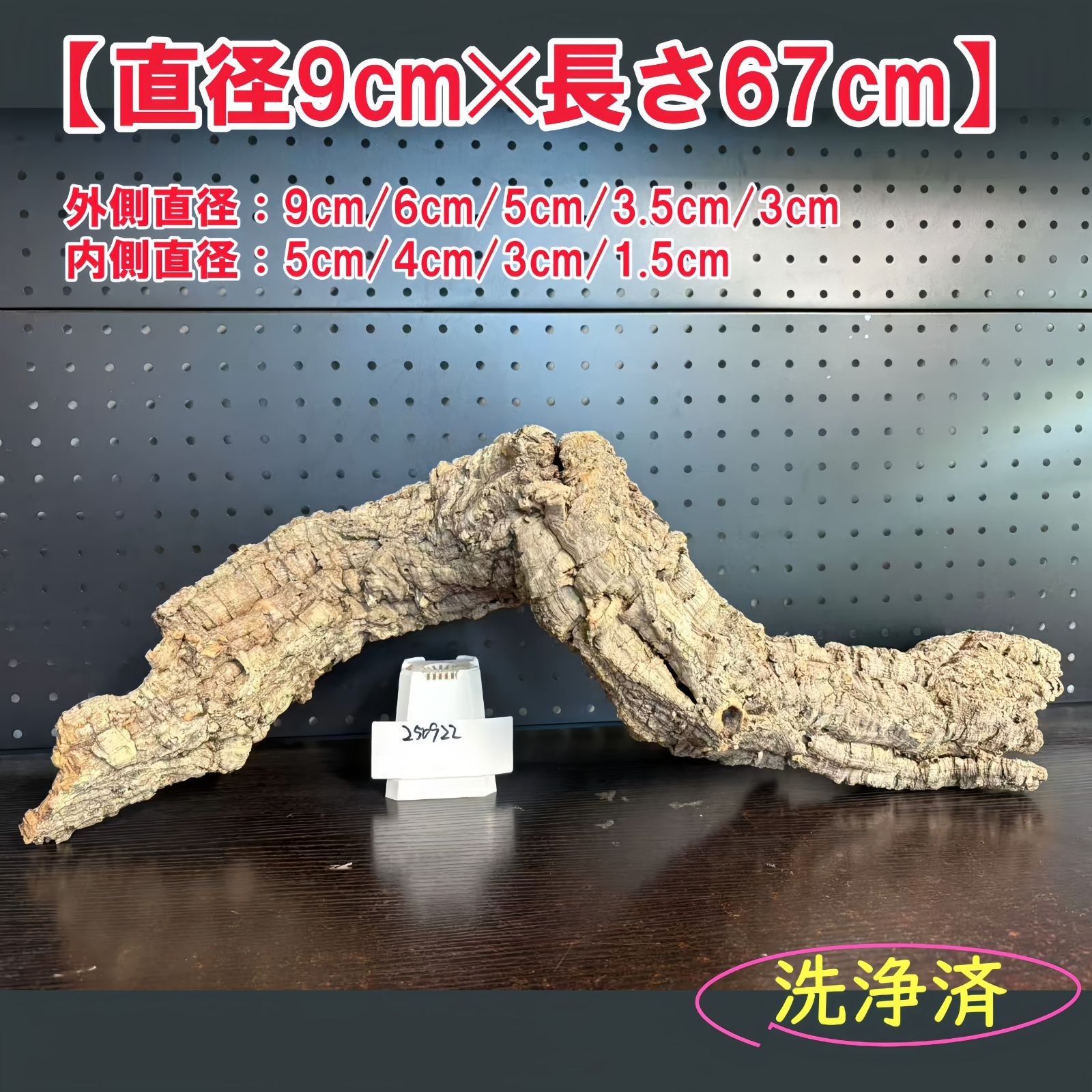 250922 ポルトガル産 キャノンコルク コルク樹皮 コルク板 バージンコルク 送料無料 チランジア ビカクシダ 着生ラン 両生類 爬虫類