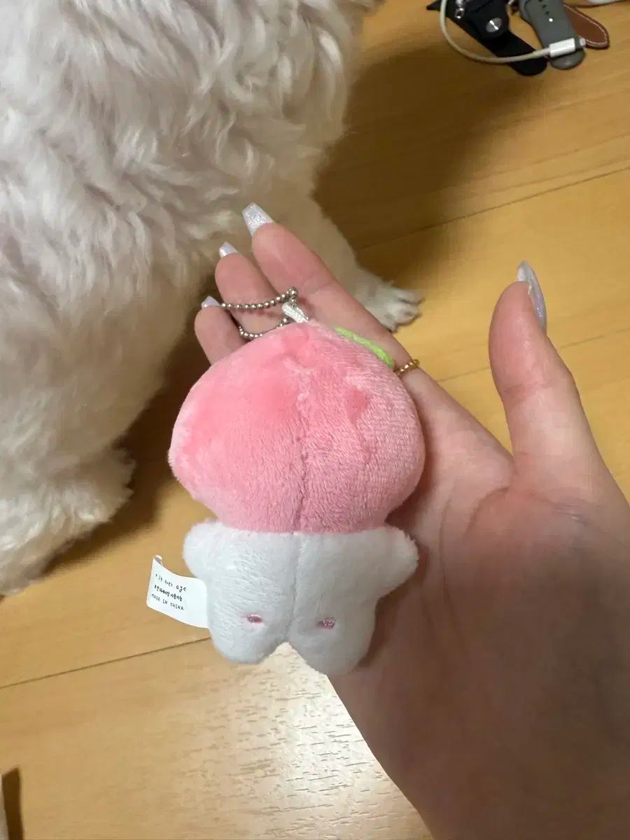 BTOB チャンソプ 愛犬グリちゃんぬいぐるみ 約15cm BTOB チャンソプ 愛犬 グリちゃんぬいぐるみストラップ付き 約