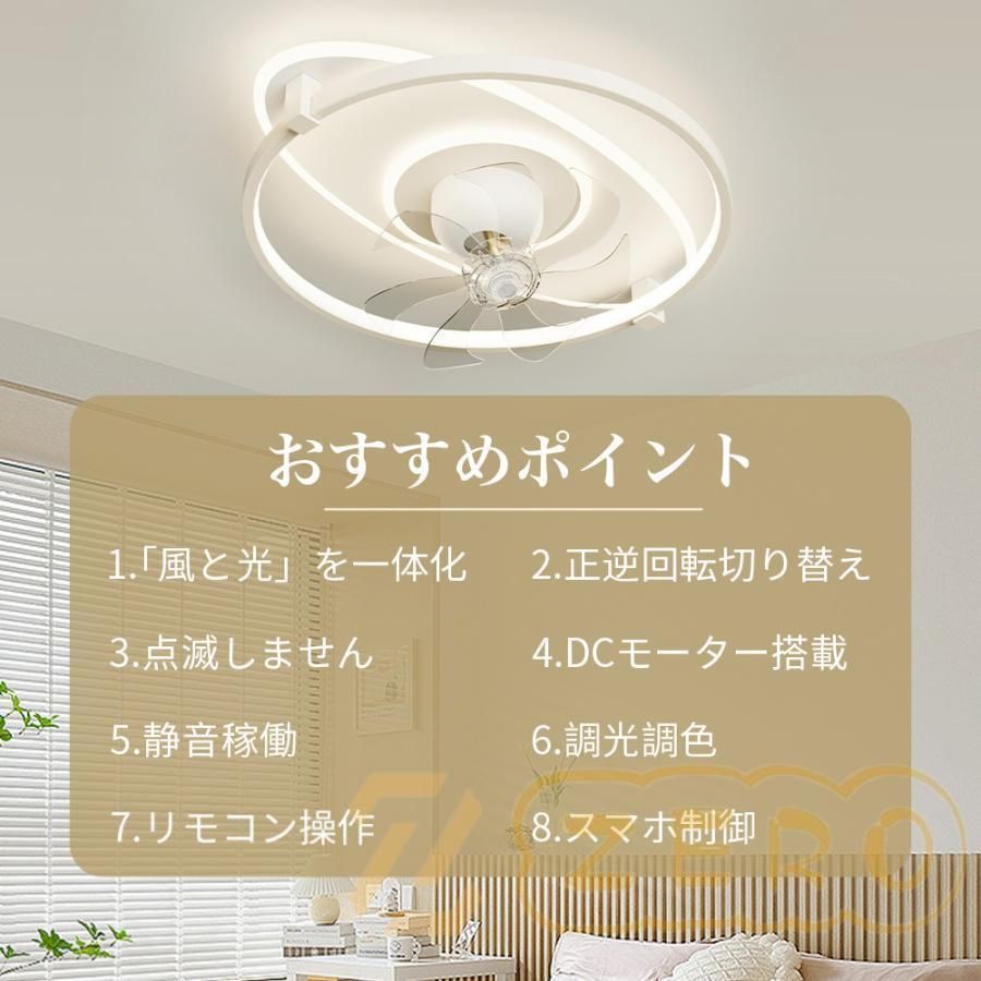6畳 12畳