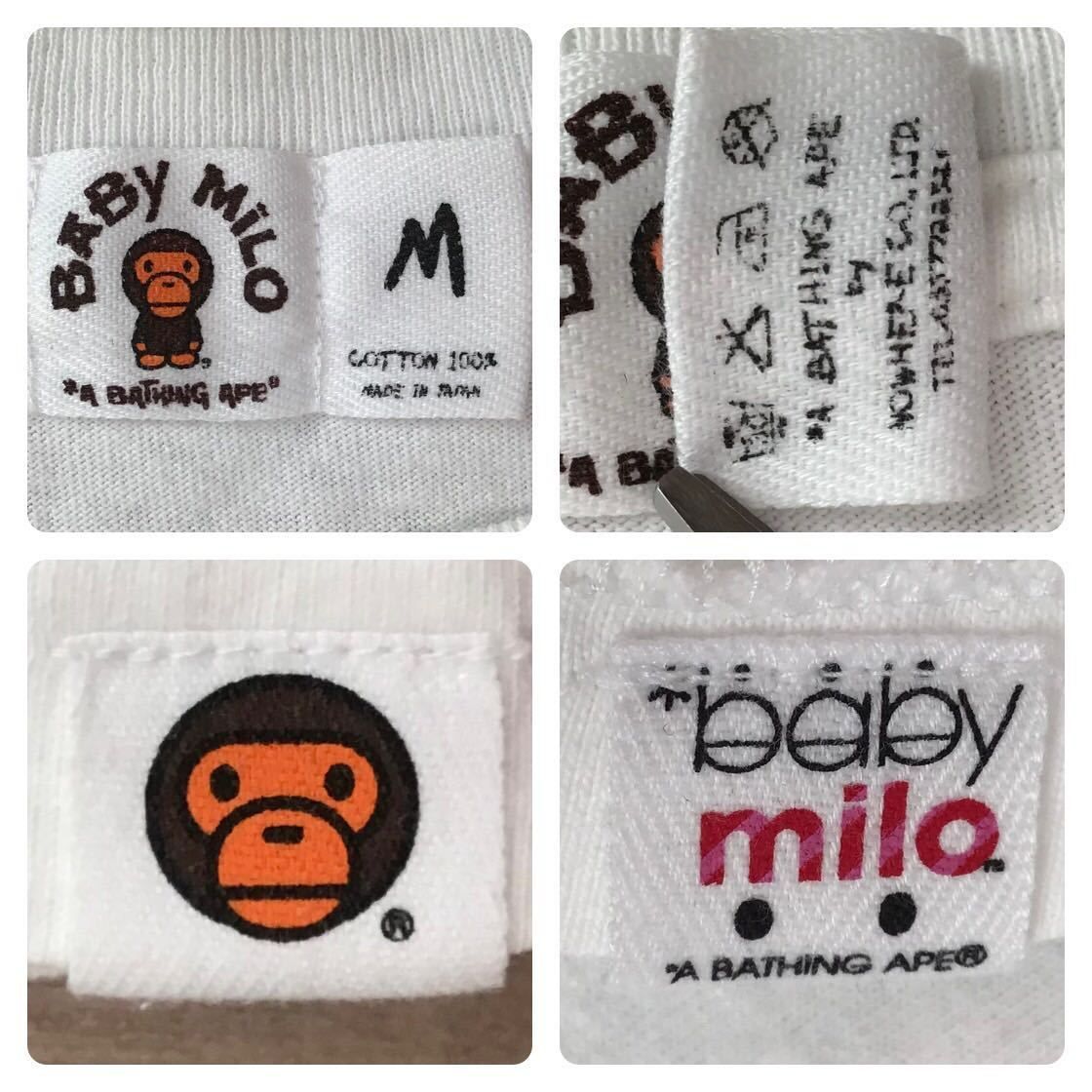 ☆激レア☆ KAWS milo companion Tシャツ Mサイズ a bathing ape