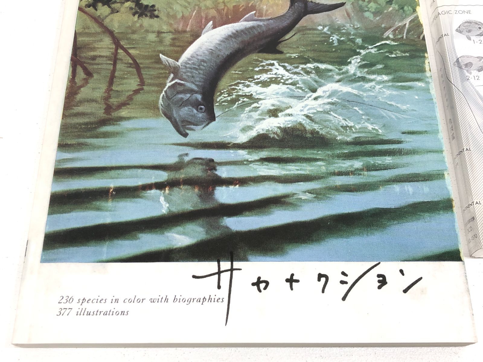 【週末値下げ】サカナクション 魚大図鑑 完全生産限定プレミアムBOX サカナクション 魚図鑑 完全生産限定盤プレミアムBOX 週末値下げ