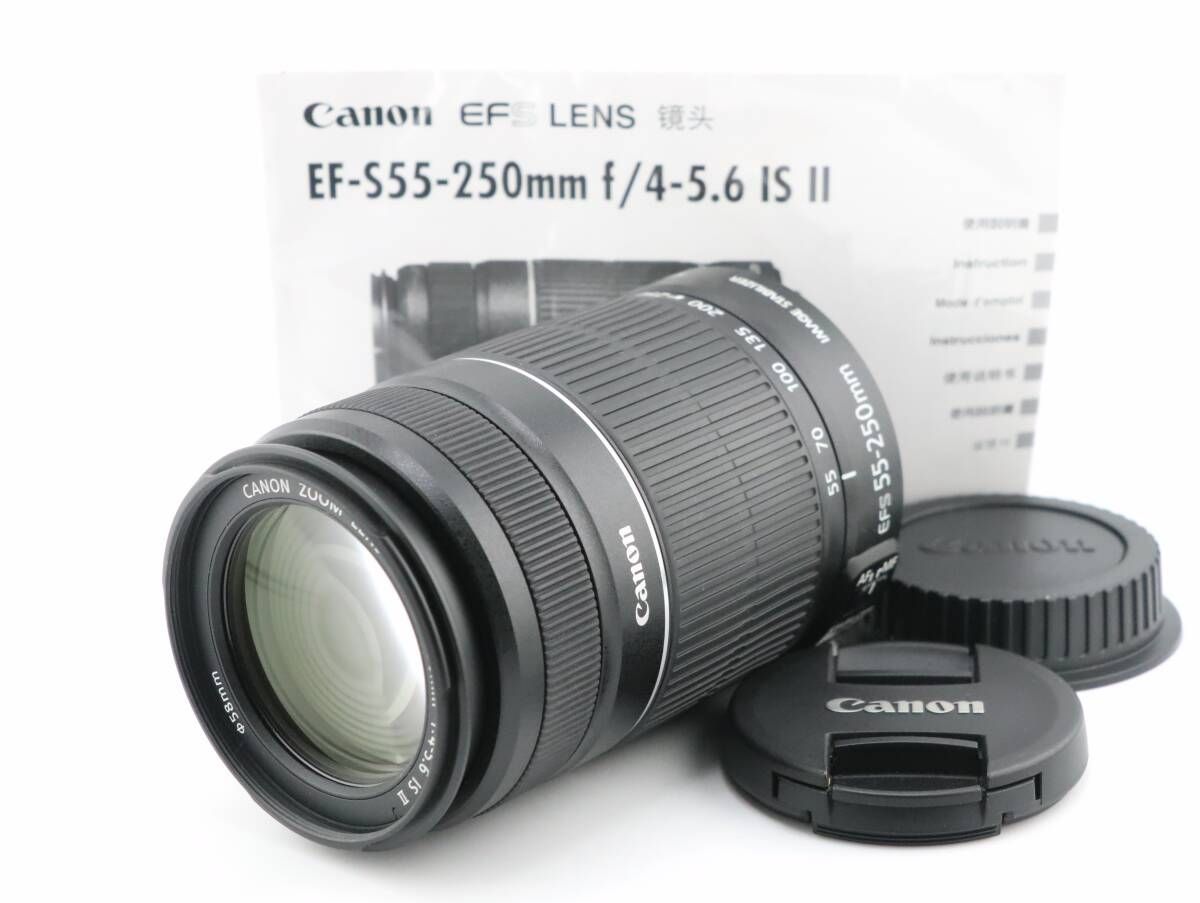 上品 キヤノン CANON EF-S 55-250mm F4-5.6 IS II 説明書付 W0955＃3347
