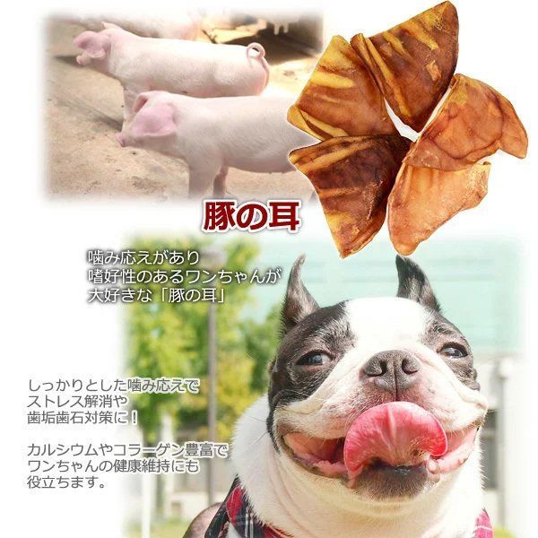 メルカリshops Sin 豚耳 10個入り 犬 おやつ 豚の耳 犬用
