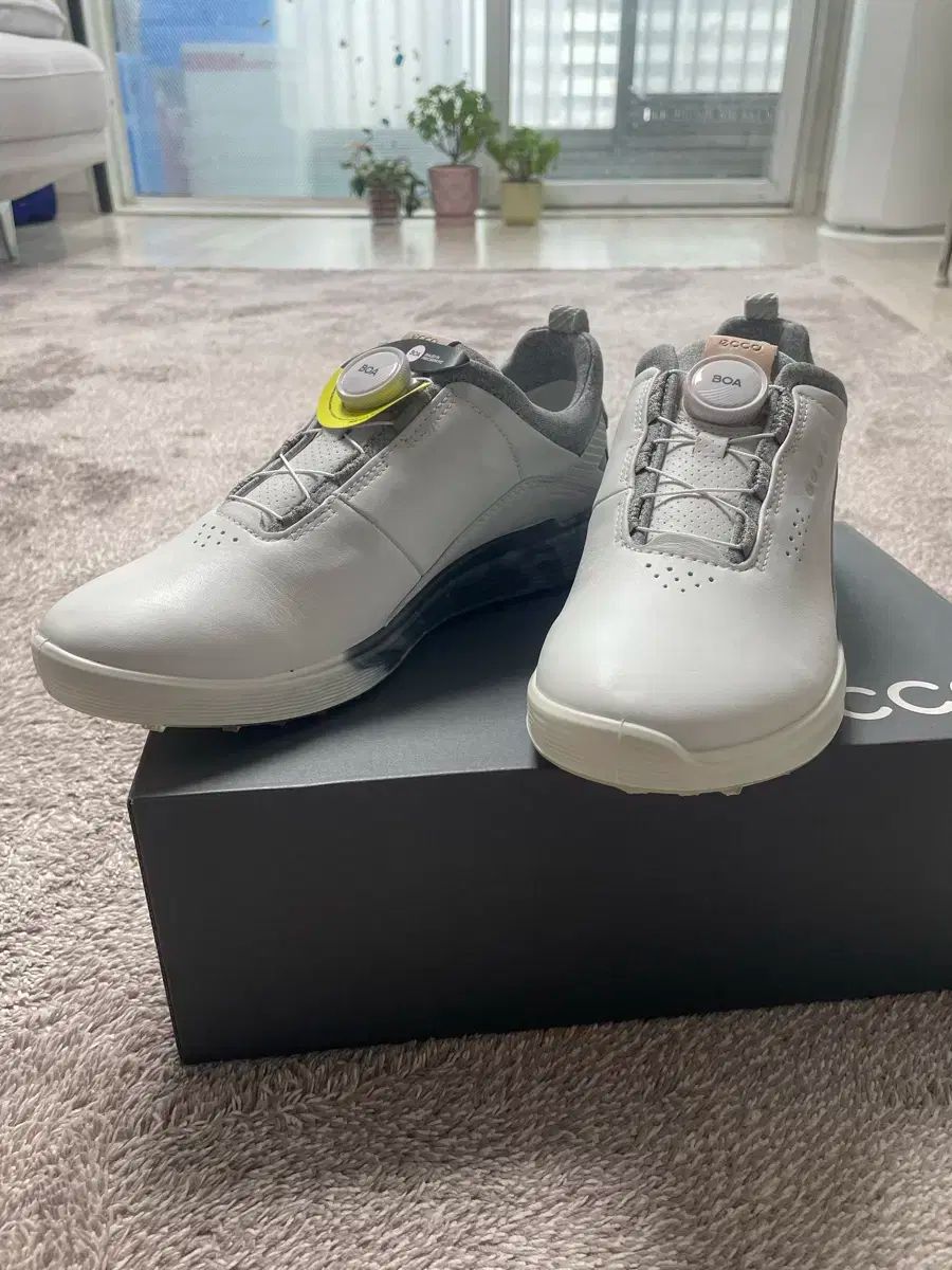 ECCO ボア レディース ゴルフシューズ 38 サイズ ecco(エコー