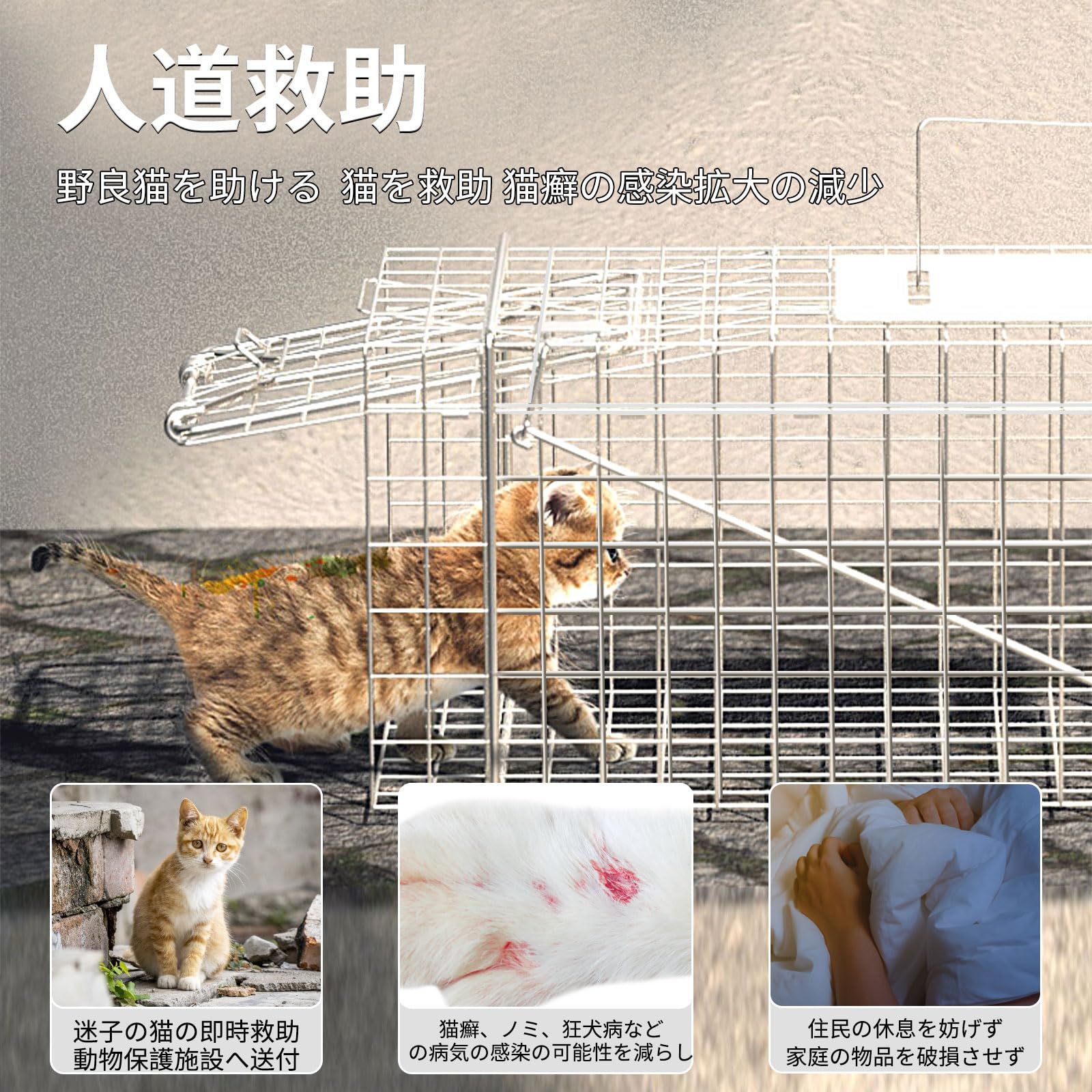 小動物