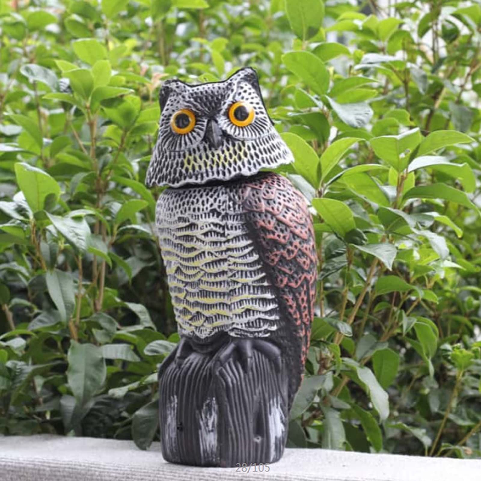 害鳥対策