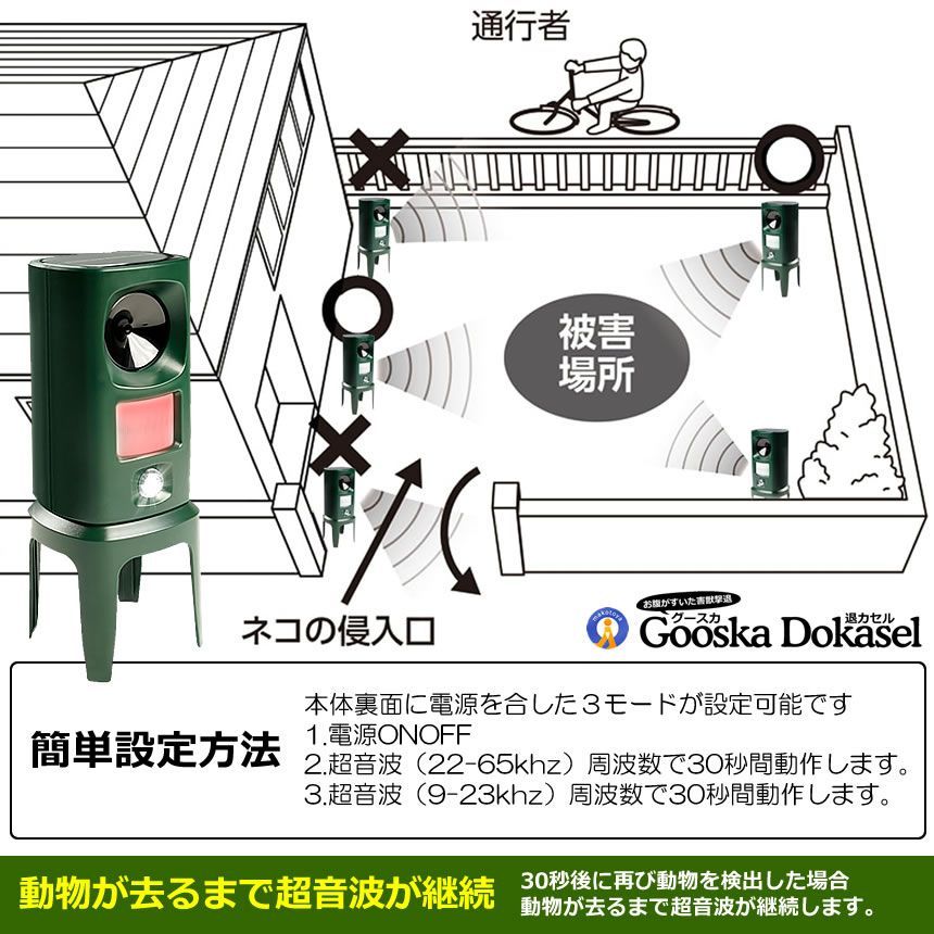 鹿