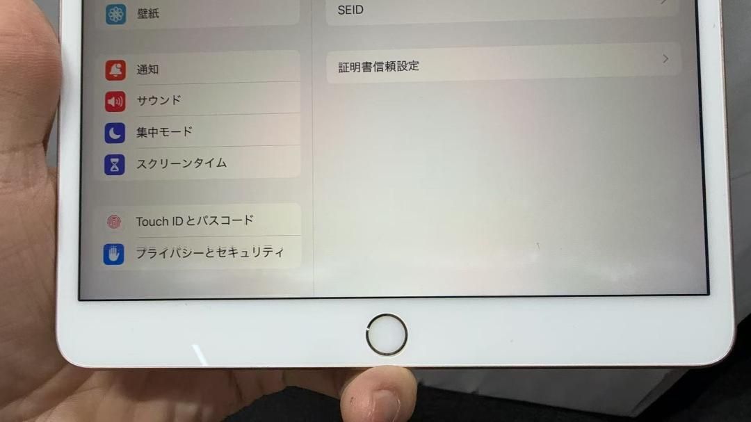 iPad Air