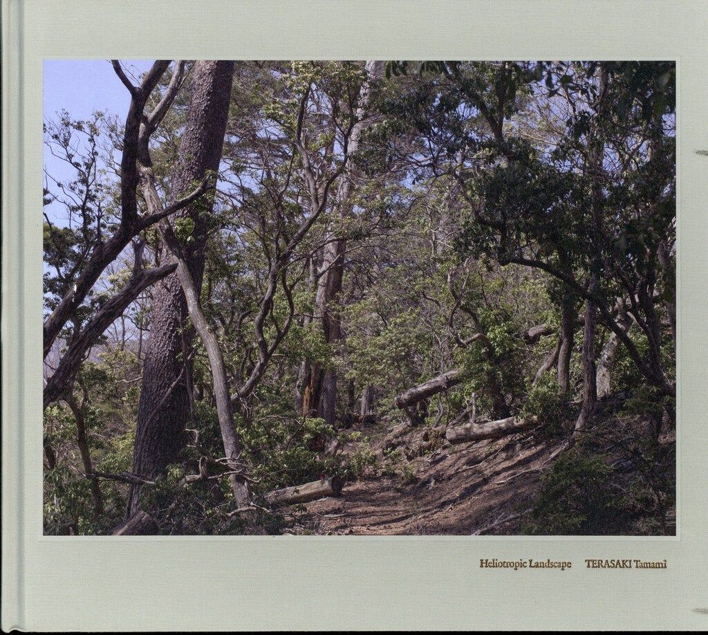 サイン入り 寺崎珠真 Heliotropic Landscape