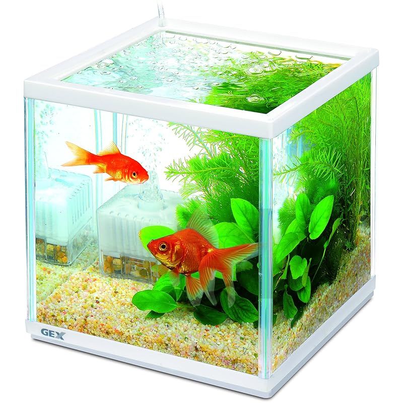 YKC」チモシー22.ヘイキューブ6 ごろう様専用」チモシー 22キロ ヘイキューブ6キロ うさぎ専門店