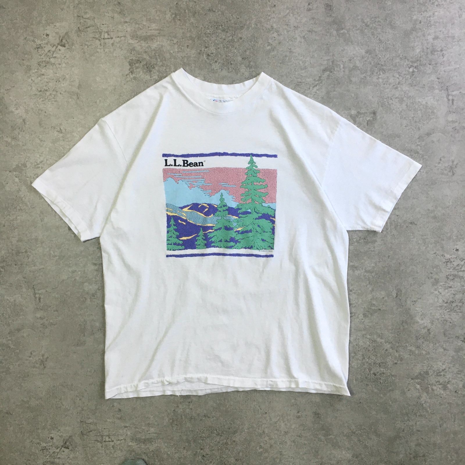 90s USA製 Hanes L.L.Bean Pastel scenery Printed T-shirt
