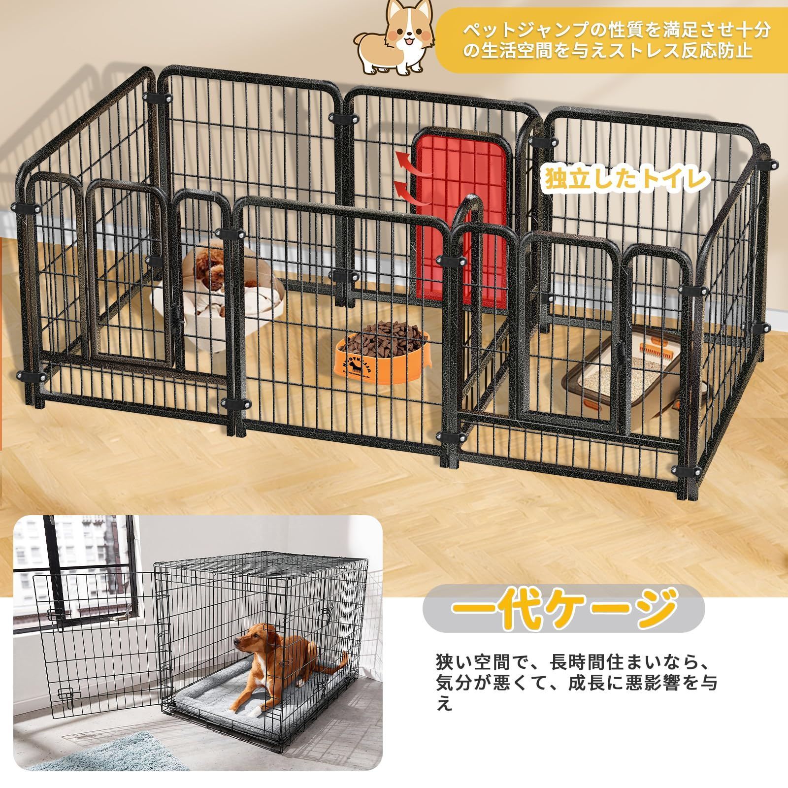 小型犬