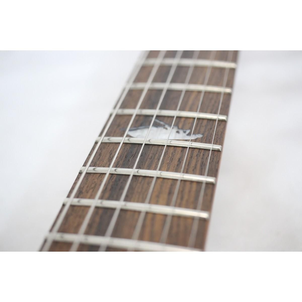 ＳＣＨＥＣＴＥＲ