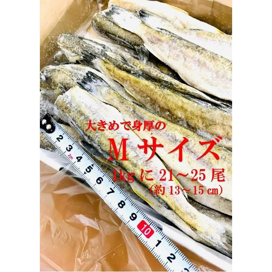 kakiya【北海道 根室産☆ コマイ 一夜干し 1kg】Ｍsサイズ  化粧箱入り 北の美味しさ！満天☆青空レストランでも紹介されました！ 氷下魚 こまい 干物