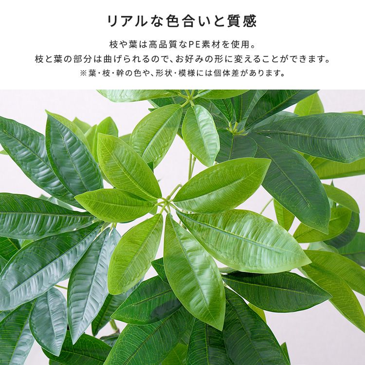 お手入れ簡単フェイクグリーン パキラ