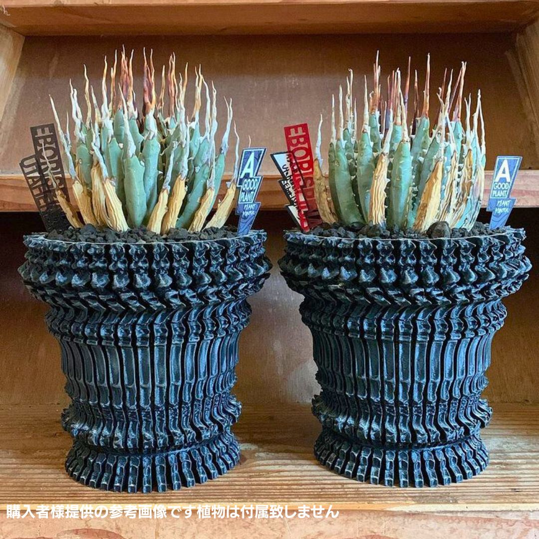 3Dプリンター鉢 作家鉢