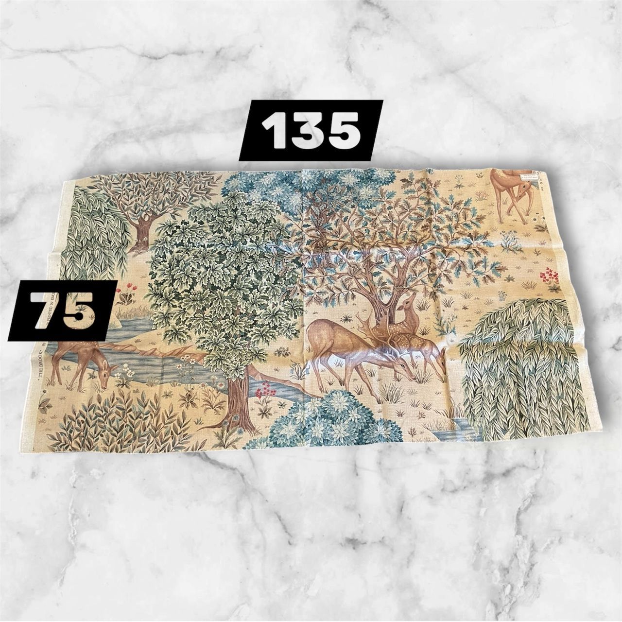 (未使用)激レアにゃんにゃんにゃんこ にゃんこレストラン　プレート　大皿　ランチ 未使用)激レアにゃんにゃんにゃんこ にゃんこレストラン