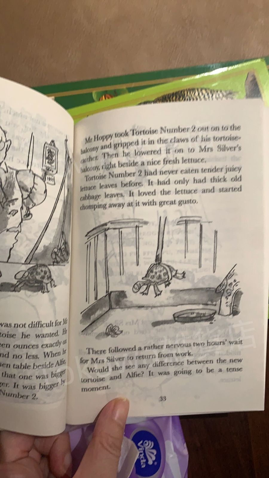 新品 Roald Dahl Collection 20冊 洋書 英語 - メルカリ