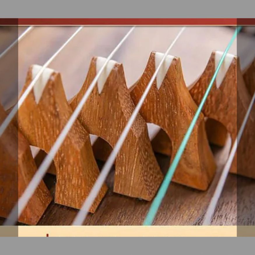 21本弦古筝初心者演奏入門古筝携帯型子供成人練習級楽器試験を受けます IMPECCABLEHEALTHCARESERVICES_COM