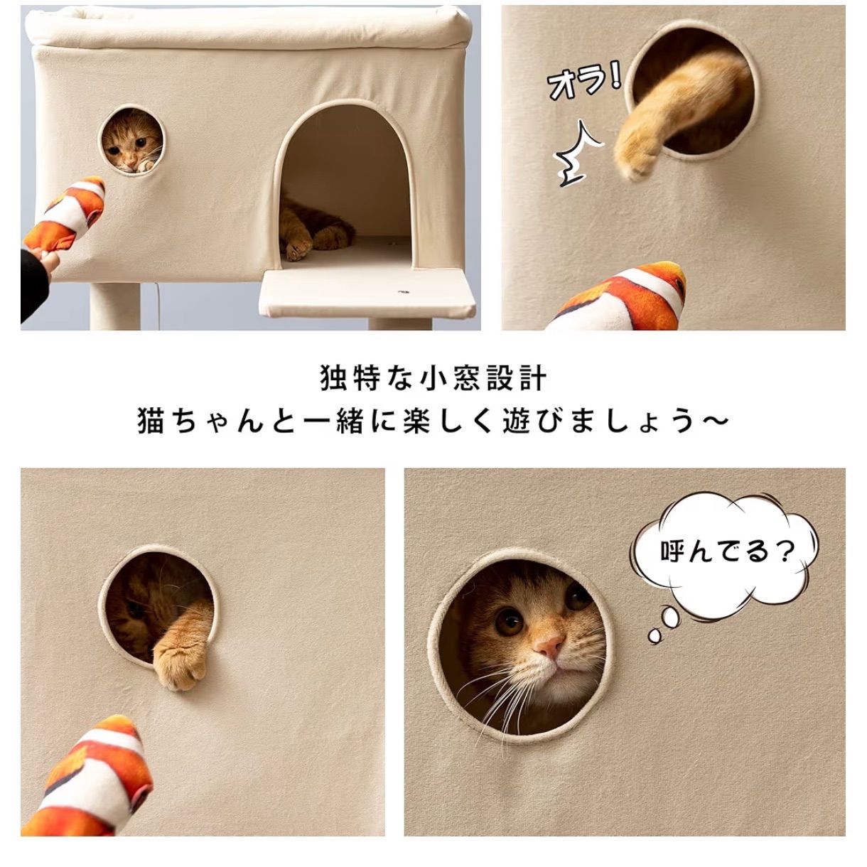 人気 cattower