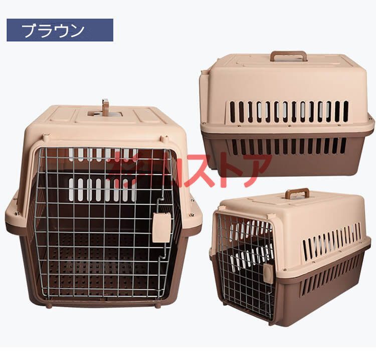 犬 猫
