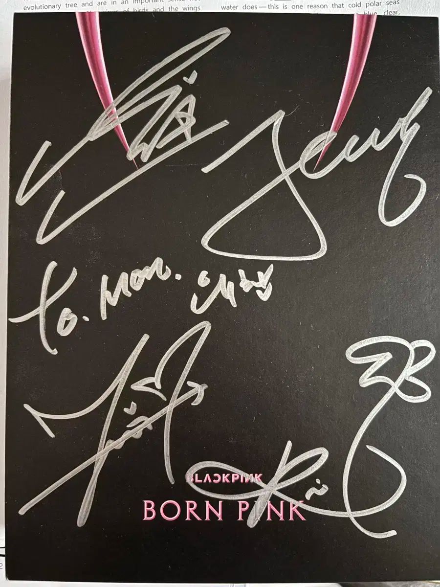 BLACKPINK(ブラックピンク・ブルピン) born pink サイン